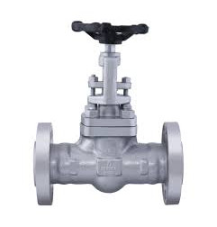 Leader C.S.Globe Valve PN-40 (Flanged)