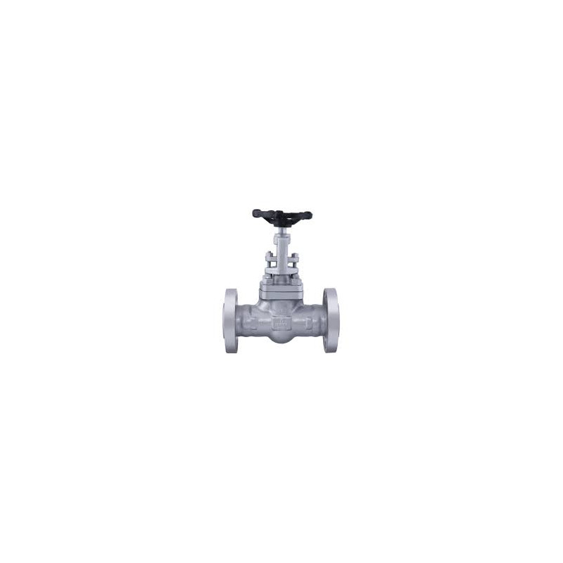 Leader C.S.Globe Valve PN-40 (Flanged)