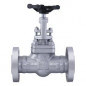 Leader C.S.Globe Valve PN-40 (Flanged)