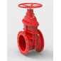 RED COLOUR Cast Iron Extra Strong Sluice Valve