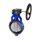 DRP CI Butterfly Valve - MI Disc - Gear