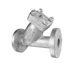 DRP CI Y Strainer Flanged