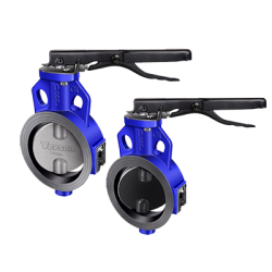 DRP CI Butterfly Valve - SS Disc - Lever