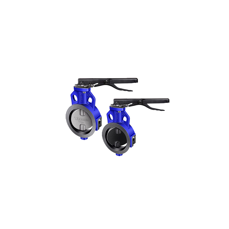 DRP CI Butterfly Valve - SS Disc - Lever