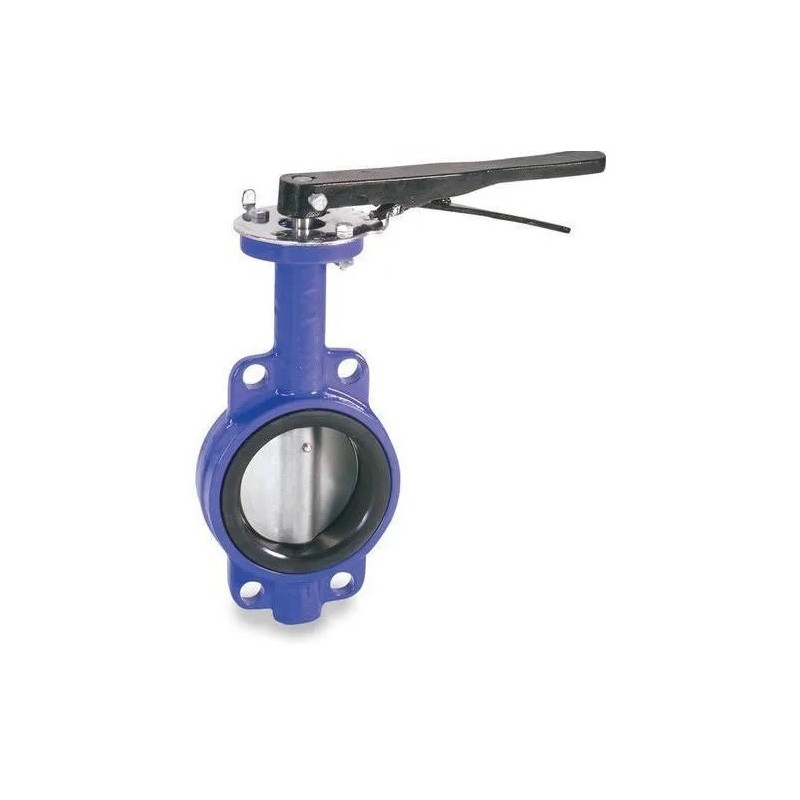 Ganesh CI Butterfly valve CI Disc