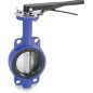 Ganesh CI Butterfly valve CI Disc