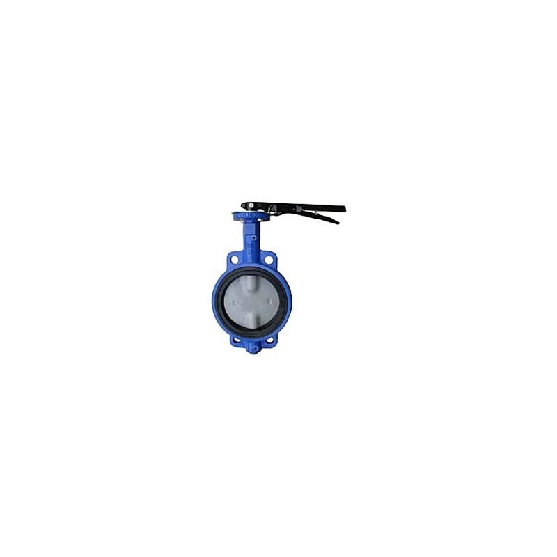 Ganesh CI Butterfly Valve SS304 Disc