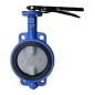 Ganesh CI Butterfly Valve SS304 Disc