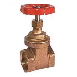 Check Valve