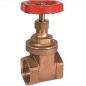 Leader G.M Check Valve Vertical