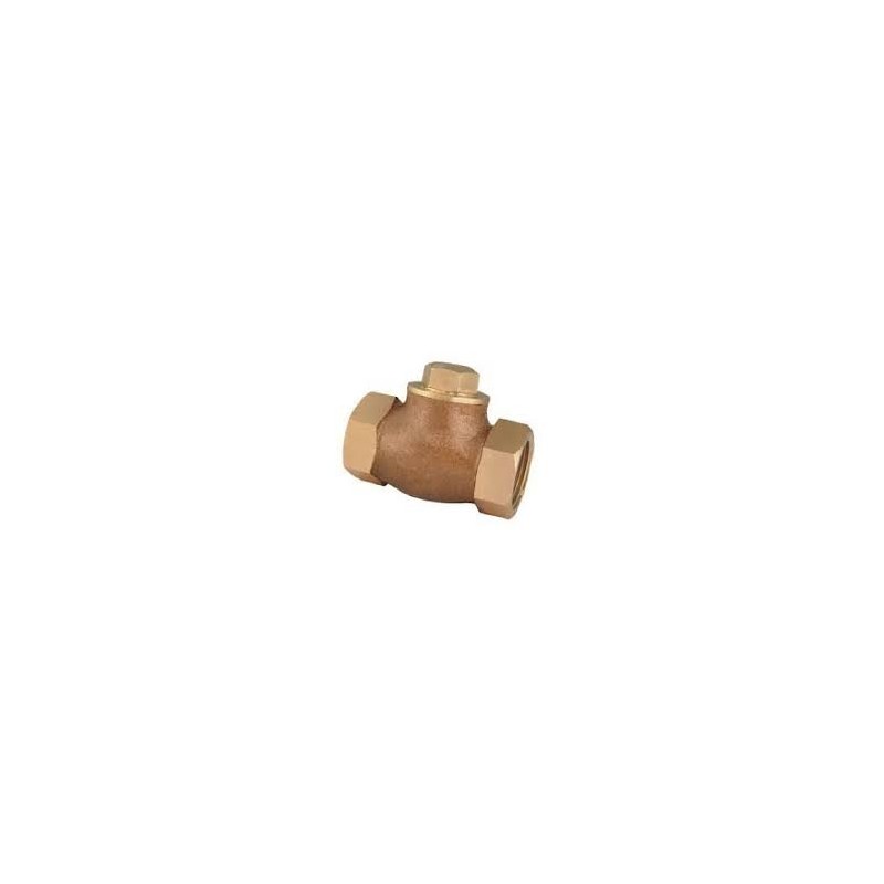 Leader G.M Check Valve Horizontal