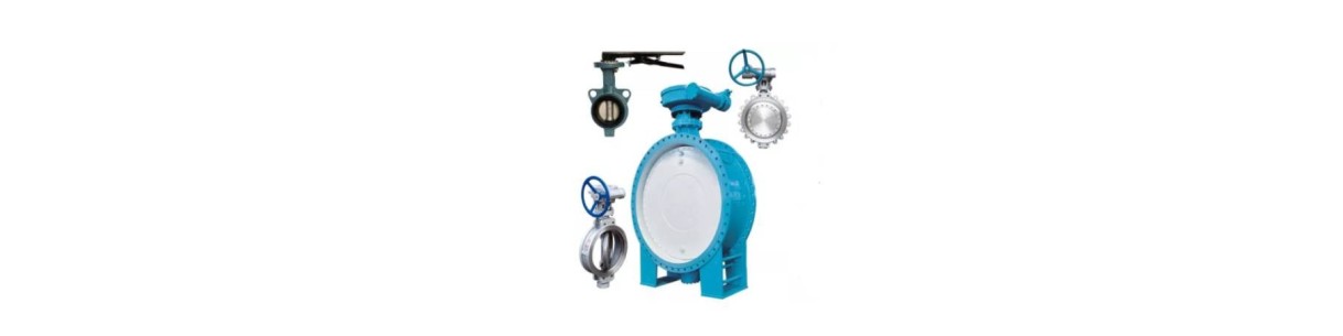 Buy Butterfly Valve From Suppliers in India at Best Rate