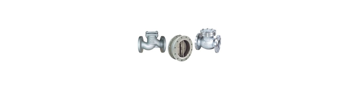 Buy High-Quality Check Valves from Manufacturers and Suppliers