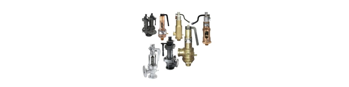 Leading Top Safety Valve Manufacturers Or Supplier in India