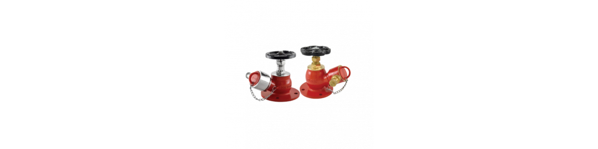 Fire Hydrant Valve Supplier in India | Landing Valve Dealer