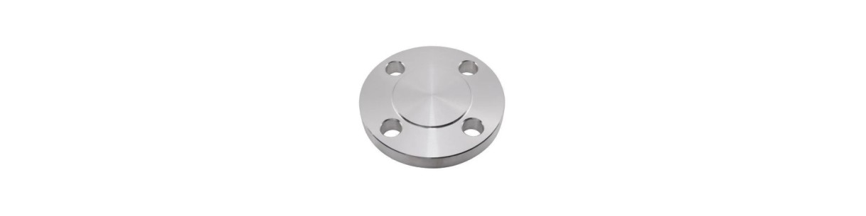 Buy SS 304 Blind Flange At Lowest Price From Manufacturer