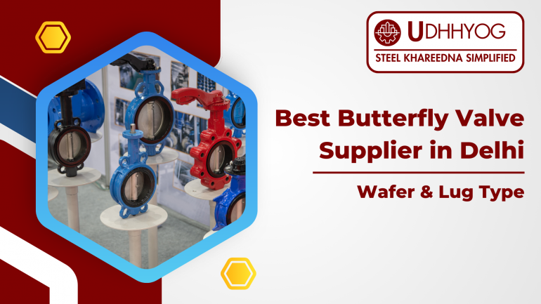 Best Butterfly Valve Supplier in Delhi | Wafer & Lug Type