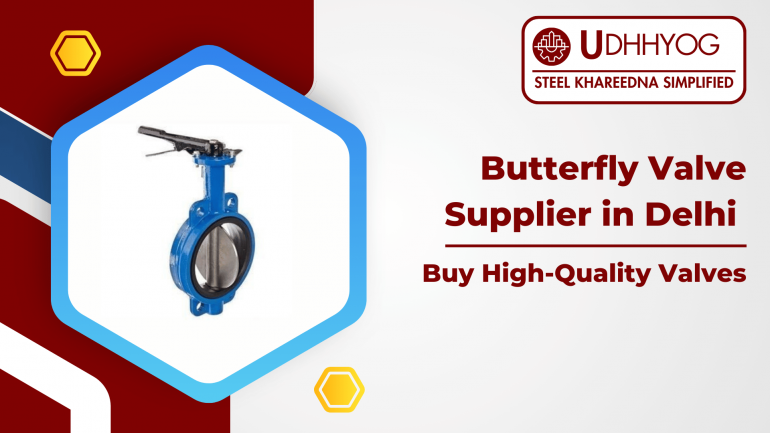 Butterfly Valve Supplier in Delhi | Buy High-Quality Valves