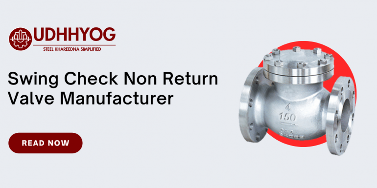 Swing Check Non Return Valve Manufacturer – CI, SS & Brass Models India