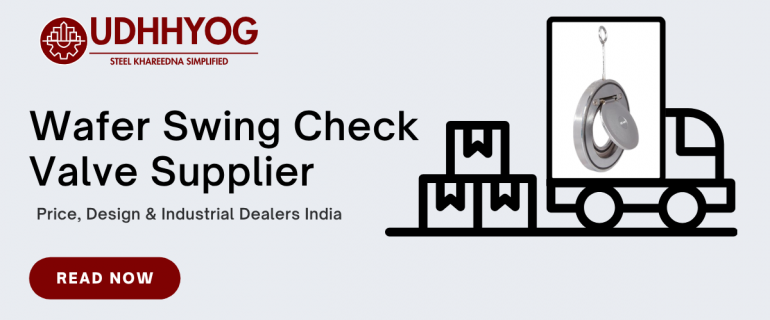 Wafer Swing Check Valve Supplier – Price, Design & Industrial Dealers India