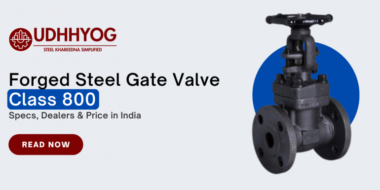 Forged Steel Gate Valve Class 800 – Specs, Dealers & Price in India