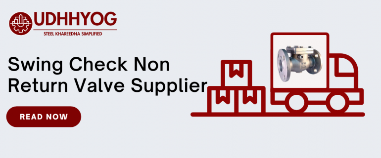 Swing Check Non Return Valve Supplier – CI, SS, Brass & Wafer Types